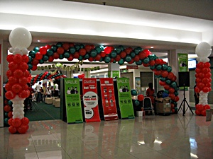 Balloon Arch & Balloon Pole